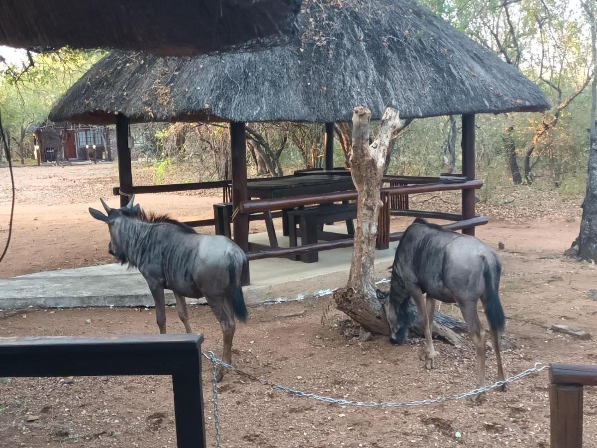 South Safari Lodge Marloth Park Exteriér fotografie