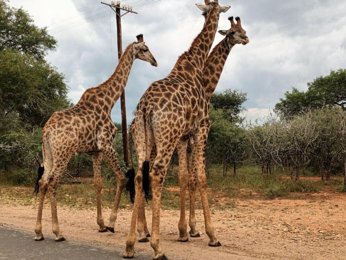 South Safari Lodge Marloth Park Exteriér fotografie