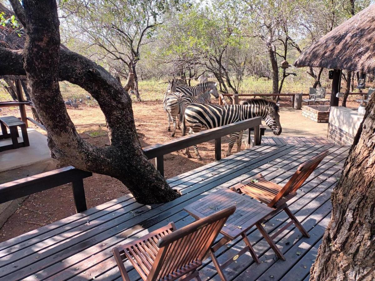 South Safari Lodge Marloth Park Exteriér fotografie